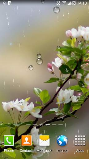 Rain Live Wallpaper screenshot 5
