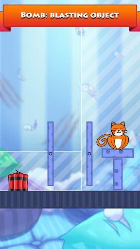Hello Cats screenshot 5