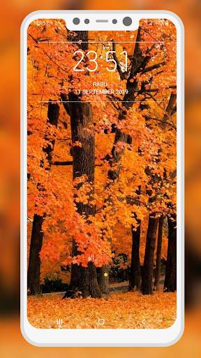 Orange Wallpaper screenshot 10
