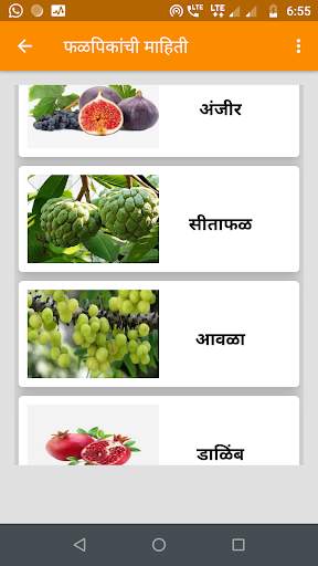 Krushi Farmer App- कृषी  पिकांची माहिती screenshot 4