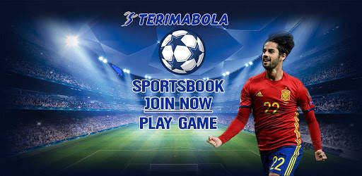 TerimaBola Sepak Bola Euro 2021 screenshot 1