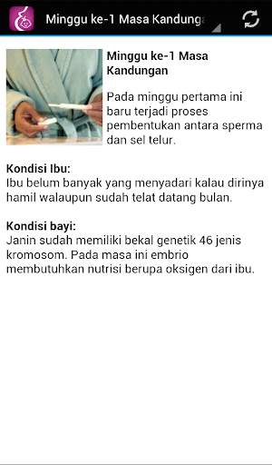 PANDUAN IBU HAMIL BAYI BALITA 2 تصوير الشاشة