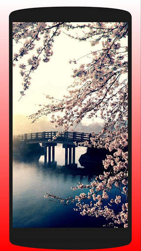 Best Japan Wallpaper HD screenshot 6