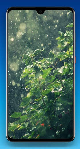 Rain Wallpaper 4K screenshot 6