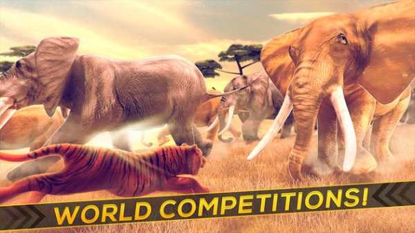 Wild Tiger Simulator Game Free screenshot 10