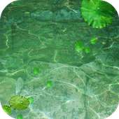 Water Live Wallpaper on 9Apps
