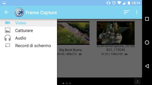 Frame Capture screenshot 4