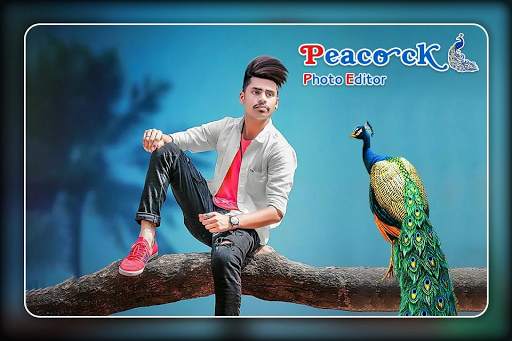 Peacock Photo Editor 1 تصوير الشاشة