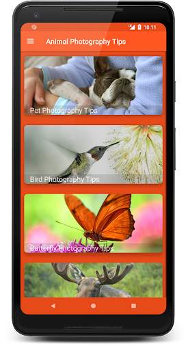 Photo Tips: Learn Photography screenshot 5