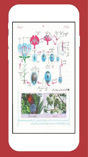 Biology 10 Urdu Medium (Offline) screenshot 6