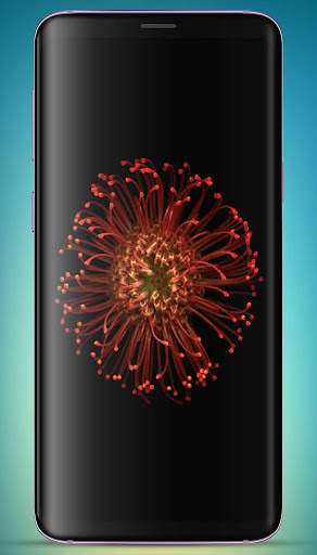 3D Flower Wallpaper HD screenshot 13