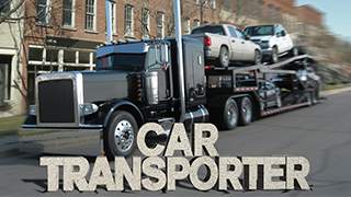 Car Transporter screenshot 1