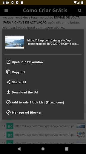 Assets Browser - Download Assets from Web Pages! screenshot 2