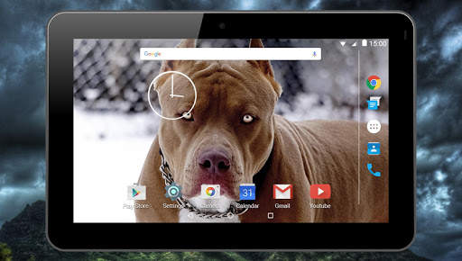 Fighting Dogs Live Wallpaper screenshot 7