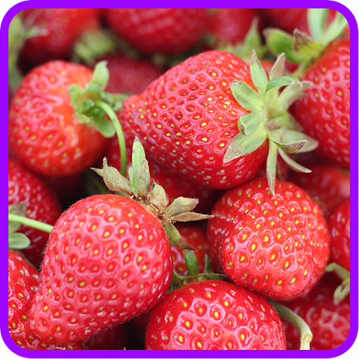 Strawberry Recipe: Strawberry jam, Strawberry pie icon