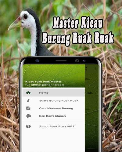 Suara Pikat Ruak Ruak MP3 screenshot 1