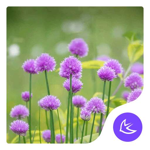 Flower-APUS Launcher theme 668.0.1001