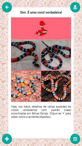 Serpentes de Minas Gerais screenshot 2
