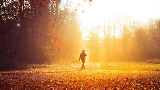 Autumn Live Wallpaper (wallpapers & backgrounds) screenshot 9