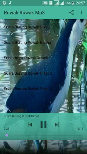 Ruwak Ruwak screenshot 1