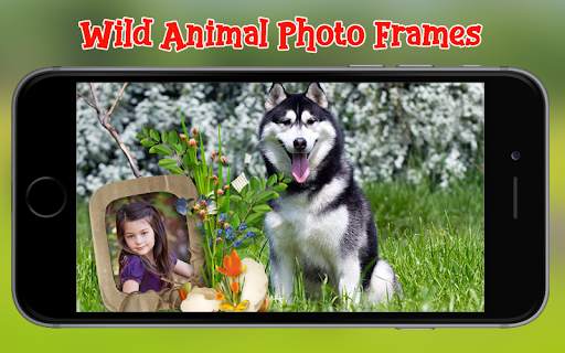 Wild Animal Photo Frames screenshot 9