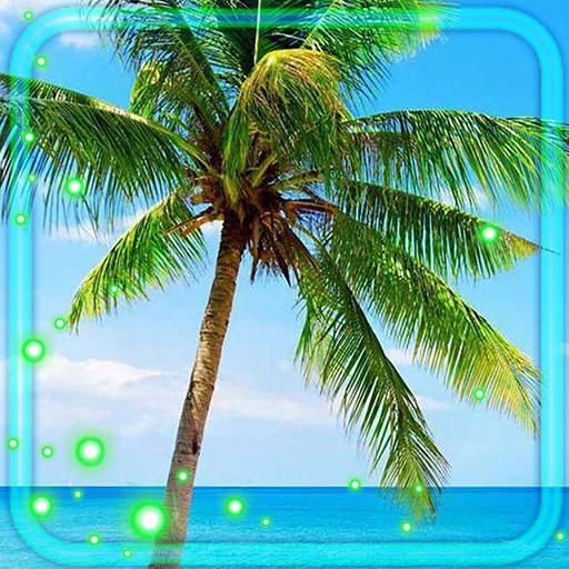 Beach Sea Palm Live Wallpaper icon