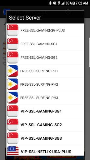PiNETVPN screenshot 2