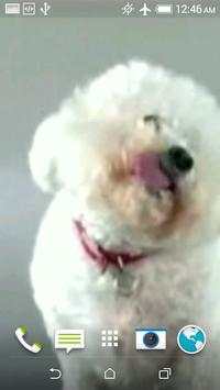 Dog Licks Screen Wallpaper screenshot 5
