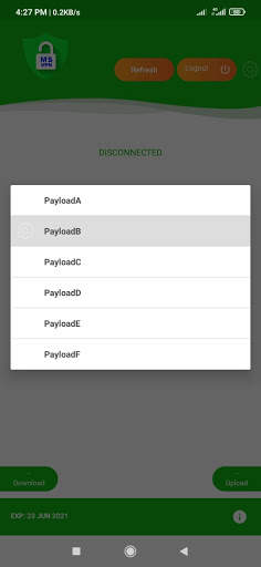 MS VPN screenshot 3
