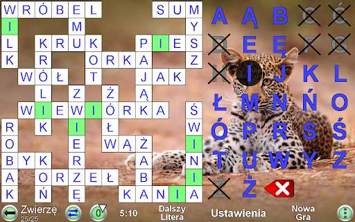 Kodowe Słowo Krzyżówka screenshot 16
