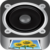 Bolle Player icon