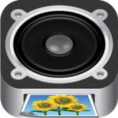 Bolle Player 1.0