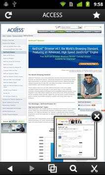 NetFront Life Browser screenshot 2