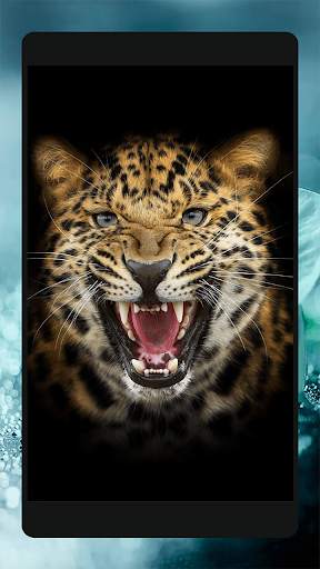 Ferocious beast Animal  Wallpaper скриншот 3