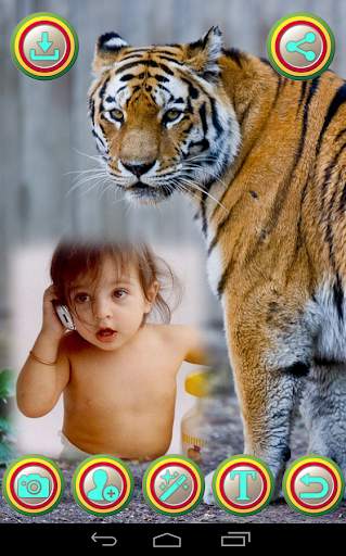 Tiger Photo Frame screenshot 3
