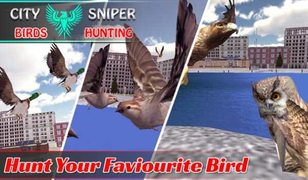 City Sniper Birds Hunting screenshot 1