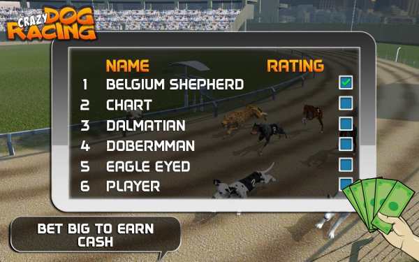 Crazy Dog Racing screenshot 4