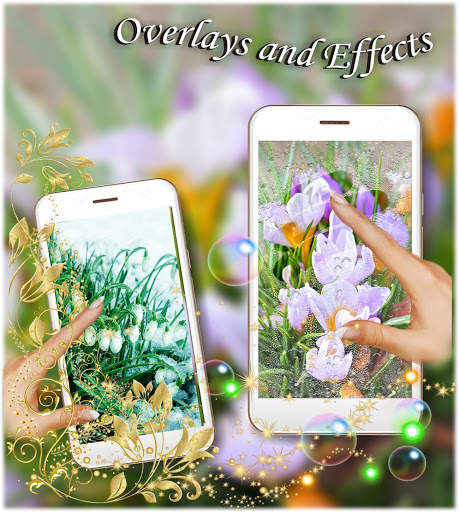 Spring Early Flowers live wallpapar screenshot 2