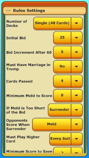 Pinochle screenshot 15