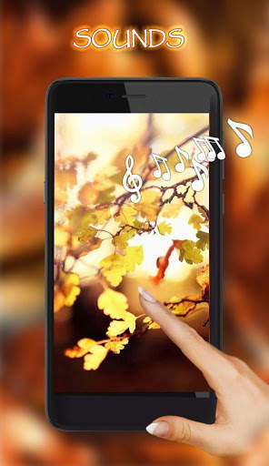 Autumn Music Live Wallpaper screenshot 1