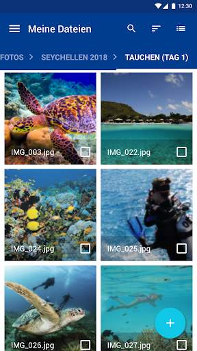 IONOS HiDrive screenshot 3