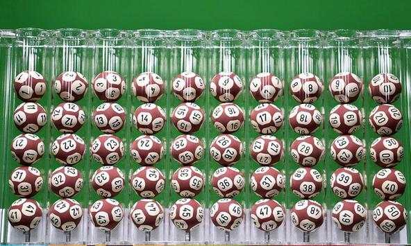 Lotto скриншот 1