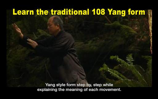 Yang Tai Chi Beginners Part 1 screenshot 15
