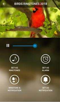 Birds sounds 2018 screenshot 3