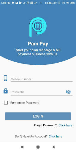Pam Pay screenshot 2