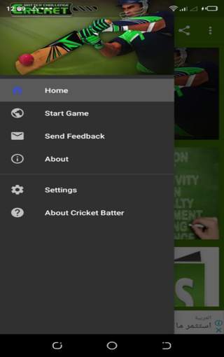 Cricket Batter Challenge screenshot 2