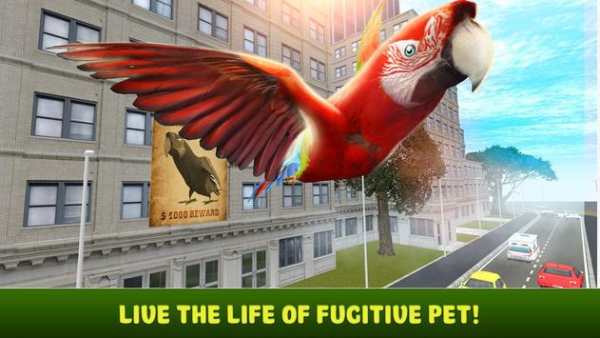 City Bird Parrot Simulator 3D screenshot 1