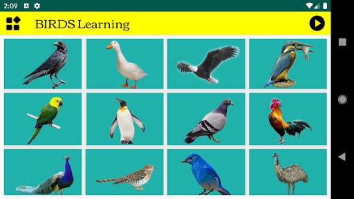 Easy Kids Learning (Offline) screenshot 7
