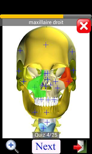 Anatomy Quiz screenshot 5