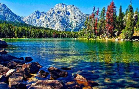 Lake Live Wallpaper screenshot 4